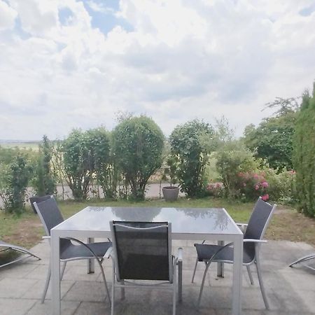 Sonniges 2-Zimmer-Gartenapartment Bietigheim-Bissingen Buitenkant foto